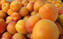 Apricots